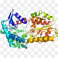 人体珠宝有机体剪贴画.珠宝-空若网 人体珠宝有机体剪贴画.珠宝-空若网