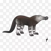 熊猫狗犬科陆生动物-熊-空若网 熊猫狗犬科陆生动物-熊-空若网