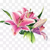 花卉设计百合水彩画百合-空若网 花卉设计百合水彩画百合-空若网