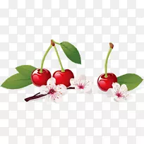 ӣ����ͼ-ӣ��-������