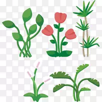 叶植物树-红色郁金香-空若网 叶植物树-红色郁金香-空若网