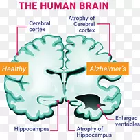 �����ĺ�Ĭ������������-������