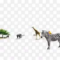 长颈鹿斑马动物斑马-空若网 长颈鹿斑马动物斑马-空若网