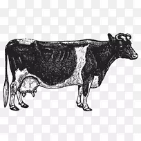 ����ɫ����������������ţ��ţ�ţ��տ�-������