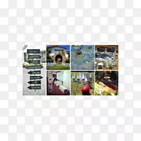 ֻ��4����Ȥ���ɶ������������-������