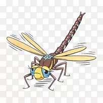 ����һֻ���ѣ����棬�Ʒ䣬������-����-������