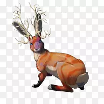 驯鹿鹿角动物野生动物驯鹿-空若网 驯鹿鹿角动物野生动物驯鹿-空若网