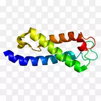 SETD 2͸��ϸ�������ְ������鵰�׼׻�ת��ø-������