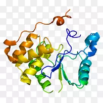 人体首饰有机体线剪贴画线-空若网 人体首饰有机体线剪贴画线-空若网