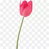 �����㻨�����ֻ�������-������