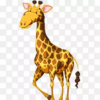 ����¹Ұ���������˰��ͼ����¹-������