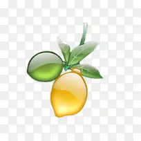 ���ʿ�ͨ����-������