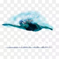 奥林匹克大小游泳池运动-游泳-空若网 奥林匹克大小游泳池运动-游泳-空若网