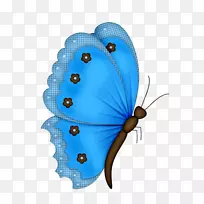 蝴蝶纸蝴蝶和昆虫蝴蝶彩色蝴蝶-蓝色花朵蝴蝶-空若网 蝴蝶纸蝴蝶和昆虫蝴蝶彩色蝴蝶-蓝色花朵蝴蝶-空若网