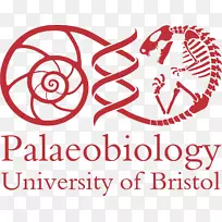 布里斯托尔大学地球科学学院-空若网 布里斯托尔大学地球科学学院-空若网