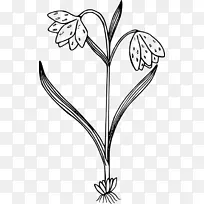 野花花瓣彩色剪贴画-空若网 野花花瓣彩色剪贴画-空若网