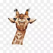 北方长颈鹿画手绘长颈鹿-空若网 北方长颈鹿画手绘长颈鹿-空若网