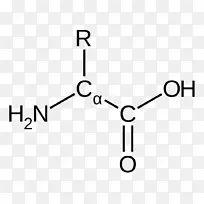 氨基酸氨基甲酰磷酸epsp合成酶官能团-空若网 氨基酸氨基甲酰磷酸epsp合成酶官能团-空若网
