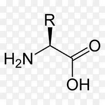 丝氨酸、缬草碱、丙氨酸、氨基酸、酪氨酸-空若网 丝氨酸、缬草碱、丙氨酸、氨基酸、酪氨酸-空若网