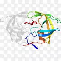 平面设计剪贴画.设计-空若网 平面设计剪贴画.设计-空若网