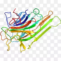 �ߵ������������-������