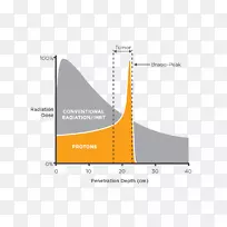 质子治疗布拉格峰值辐射治疗x射线辐射区警戒线-空若网 质子治疗布拉格峰值辐射治疗x射线辐射区警戒线-空若网