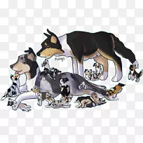 犬种动画-狗-空若网 犬种动画-狗-空若网