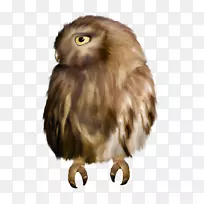 猫头鹰水彩画剪贴画-猫头鹰-空若网 猫头鹰水彩画剪贴画-猫头鹰-空若网