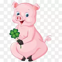 家养猪版税-免费摄影-持花猪-空若网 家养猪版税-免费摄影-持花猪-空若网