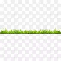 绿草植物茎科草-空若网 绿草植物茎科草-空若网