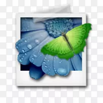 ��ɫͼ��鿴��MacOS�ļ��鿴��-������