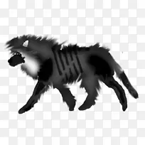 狗猫,犬科,毛皮,鼻子,狗-空若网 狗猫,犬科,毛皮,鼻子,狗-空若网