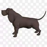 狗鼻子杂交小狗-空若网 狗鼻子杂交小狗-空若网