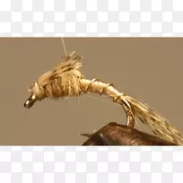 À¥³æÄ¾²Ä/Ã×/083vt-À¥³æ-¿ÕÈôÍø À¥³æÄ¾²Ä/Ã×/083vt-À¥³æ-¿ÕÈôÍø