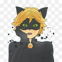 �����ﰲ������˹�غ�è��Ӱ��è��-������