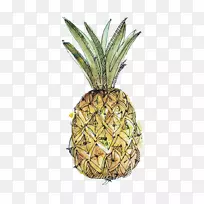 Ö½²¤Âܻˮ²Ê»²åͼÊֻ沤ÂÜ-¿ÕÈôÍø Ö½²¤Âܻˮ²Ê»²åͼÊֻ沤ÂÜ-¿ÕÈôÍø