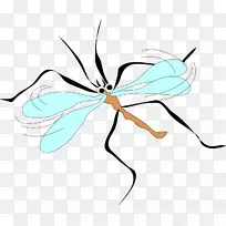 ���Ӽ�����-����-������