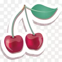 樱桃果实-樱桃载体-空若网 樱桃果实-樱桃载体-空若网