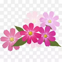 花花-空若网 花花-空若网