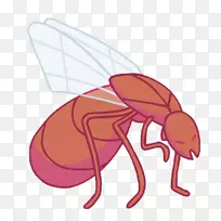 �����ڷ���������-����-������