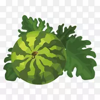 瓜瓜-空若网 瓜瓜-空若网