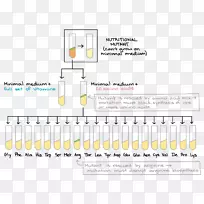 ��������ֹ������dna����-������