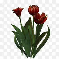 �������л��廨����-������-������