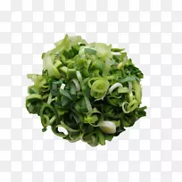 韭菜洋葱大蒜蔬菜食品切碎的大葱-空若网 韭菜洋葱大蒜蔬菜食品切碎的大葱-空若网