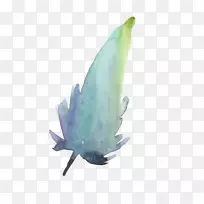 水彩画水彩叶羽毛02-空若网 水彩画水彩叶羽毛02-空若网