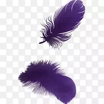 ��ë������.��ëͼƬ.��ë������-������