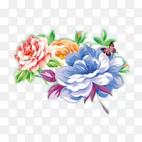 花花瓣-牡丹-空若网 花花瓣-牡丹-空若网