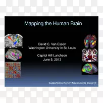 平面设计品牌设计-空若网 平面设计品牌设计-空若网
