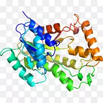 线点生物剪贴画线-空若网 线点生物剪贴画线-空若网