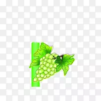 葡萄酒葡萄汁包装和标签.葡萄-空若网 葡萄酒葡萄汁包装和标签.葡萄-空若网